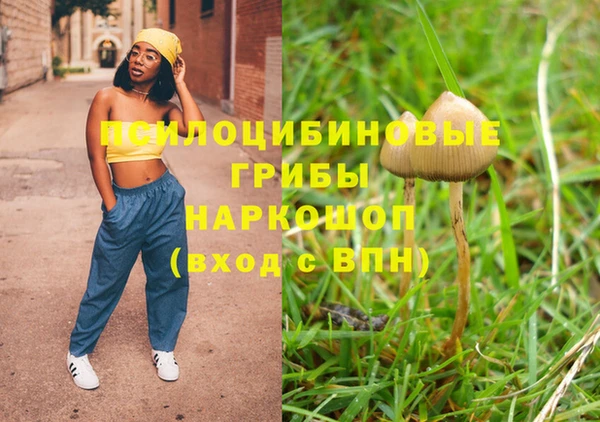 винт Бронницы