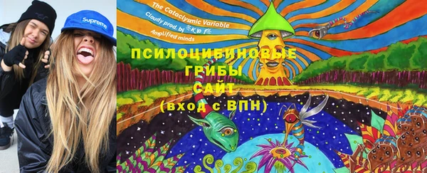 винт Бронницы