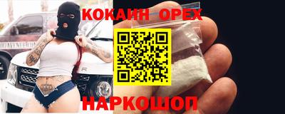 сатива Бийск