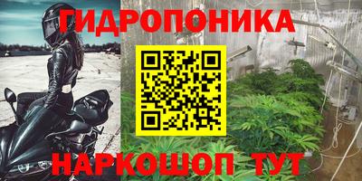 кокс Кандалакша