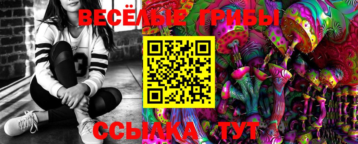 Галлюциногенные грибы GOLDEN TEACHER Богданович