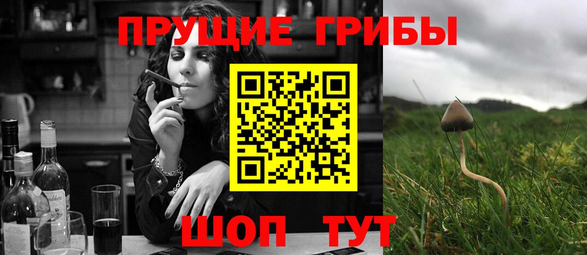 Галлюциногенные грибы GOLDEN TEACHER Богданович