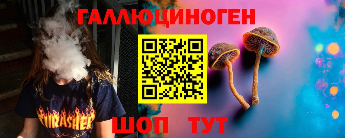 Галлюциногенные грибы Magic Shrooms  закладка  Богданович 
